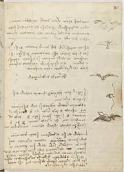 Code de vol des oiseaux, c. 1505-06, manuscrit sur papier, cc. 18, feuille 15 recto